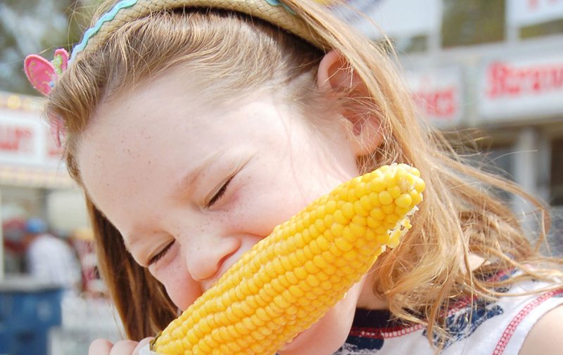 Jackson County Fair in Brownstown Indiana