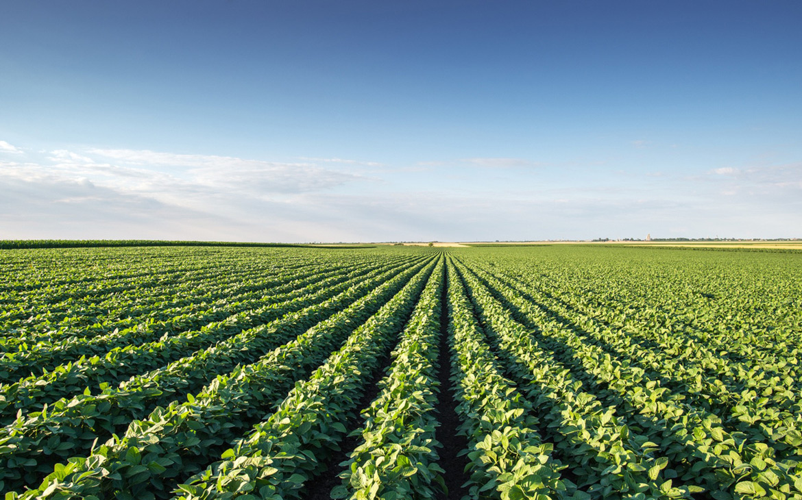 Sustainable Agriculture By Premier – Jackson County Fair